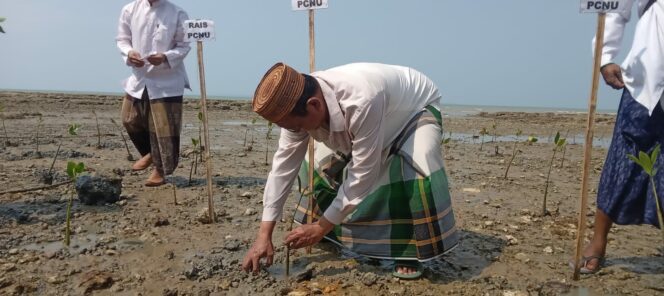 
 Ikhtiar Selamatkan Lingkungan, Warga NU Sumenep Tanam Mangrove