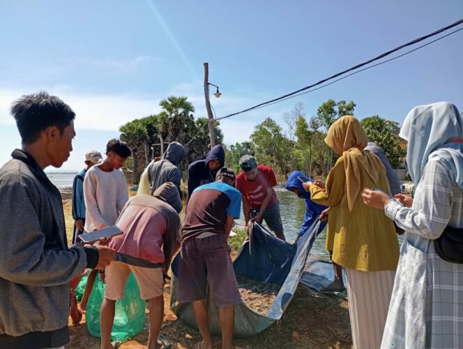 
 Mahasiswi Universitas Annuqayah Jelajahi Inovasi Budidaya Udang Ramah Lingkungan di Sumenep 